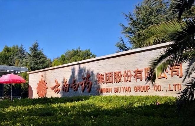 来、佳洁士、高露洁市场份额达到23%pg模拟器中国牙膏第一品牌：击败好(图5)