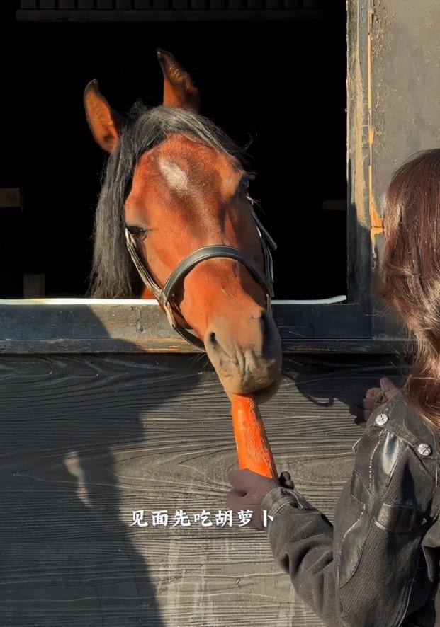 粪修马蹄接地气穿紧身裤三角区显尴尬pg模拟器森林北分享养马日常!铲马(图4) 粪修马蹄接地气穿紧身裤三角区显尴尬pg模拟器森林北分享养马日常!铲马(图4)